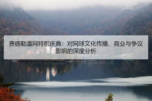fei-de-lei-wen-wang-te-bie-qing-dian-dui-wang-qiu-wen-hua-chuan-bo-shang-ye-yu-zheng-yi-ying-xiang-de-shen-du-fen-xi-2-496.jpg
